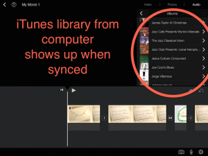 You can access your iTunes library **IF** you have things setup just so.